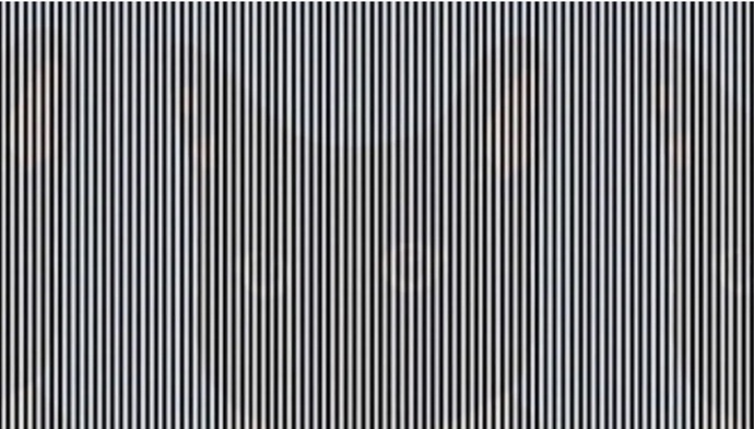Are you able to see the hidden animal in the picture below?