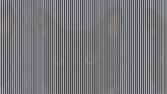 Are you able to see the hidden animal in the picture below?