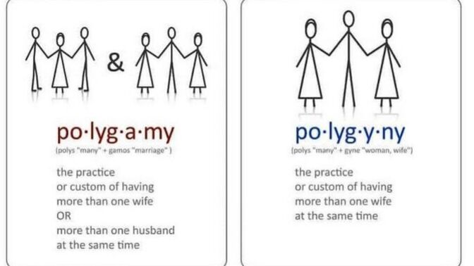 If POLYGAMY were legal, how many spouses would you want to have?