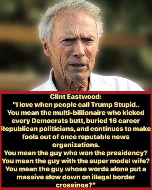 If Donald Trump is stupid, what does that make the people who call him that?