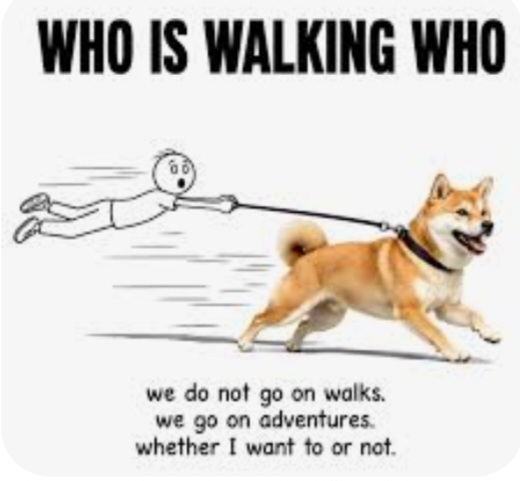 If You Have A Dog, Or Had A Dog, Was Your Dog Well Trained?