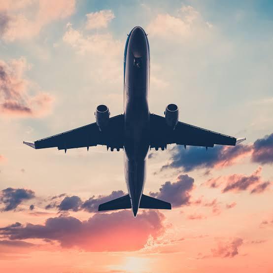 Do you prefer solo travel or traveling with others, and why?