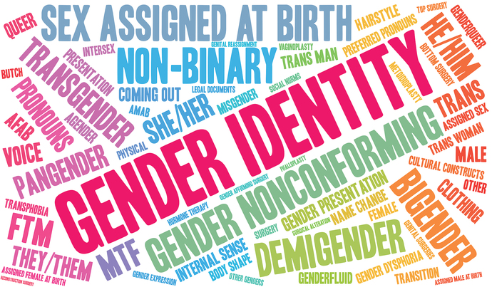 With so many GENDER IDENTITIES, should we each wear a badge identifying what we are, to eliminate confusion?