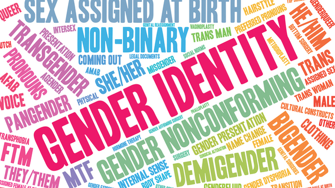 With so many GENDER IDENTITIES, should we each wear a badge identifying what we are, to eliminate confusion?