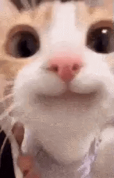 If I asked you to send me a photo, would you actually do it?
