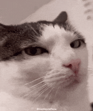 If I asked you to send me a photo, would you actually do it?