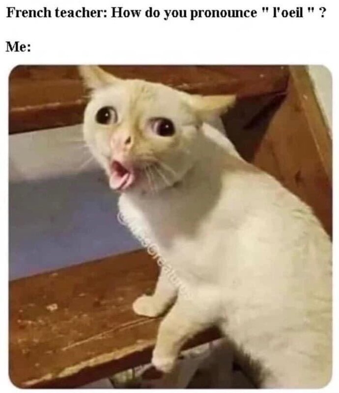 If I asked you to send me a photo, would you actually do it?