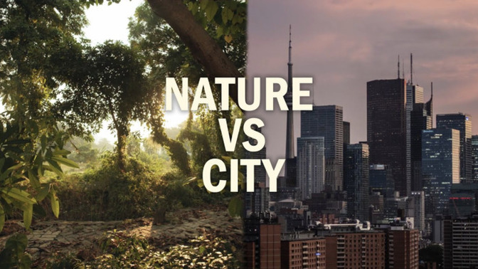 Would you rather build a life in nature’s quiet or a buzzing big city?
