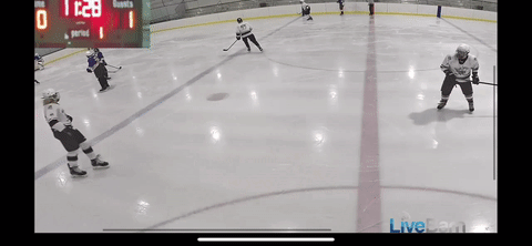 Can you ICE SKATE?