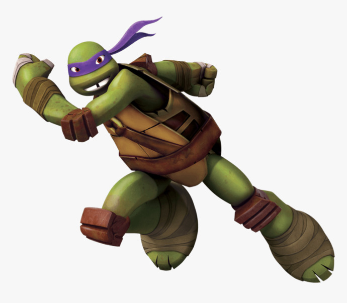 Who is your favorite Teenage Mutant Ninja Turtle character?