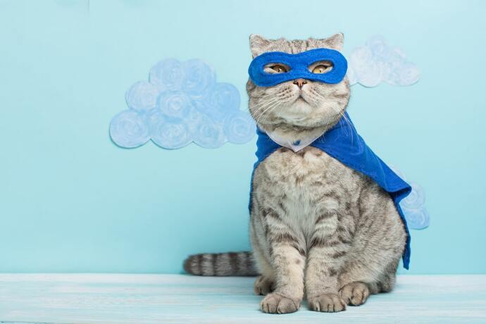 If you were a superhero, what animal would you choose as your sidekick?
