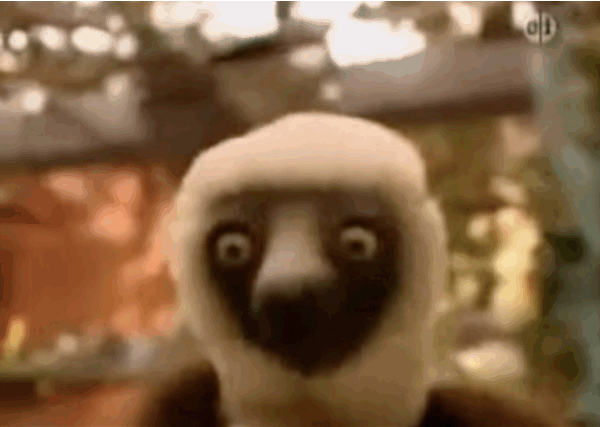 If you were a superhero, what animal would you choose as your sidekick?
