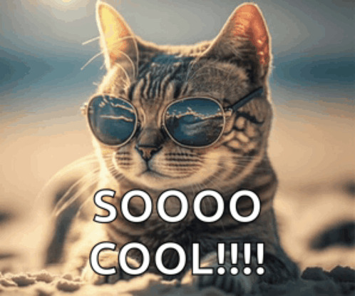 How do you know if YOU are cool?