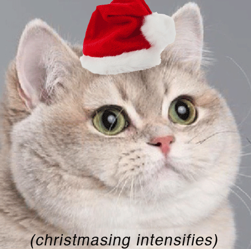 What’s your favorite holiday?