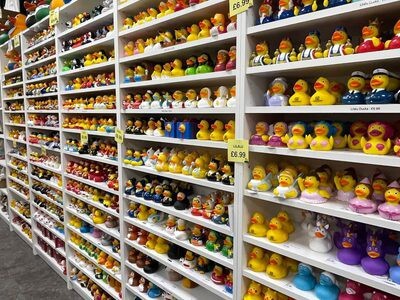Do you play with a duck in the tub?