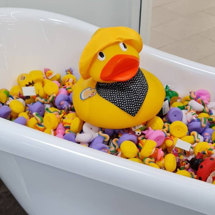 Do you play with a duck in the tub?