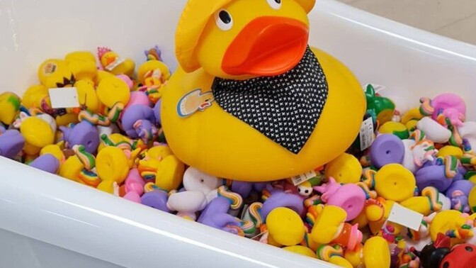 Do you play with a duck in the tub?