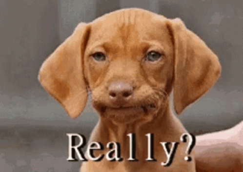 If you and your partner got arrested together, what crime would it be?