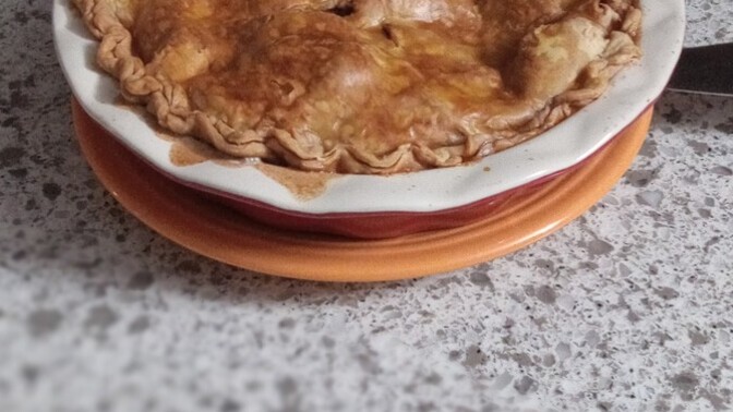 Does my wife’s first apple pie in our new stove look delicious?