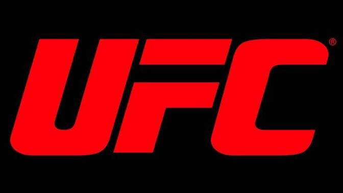 Who wins this UFC heavyweight title bout in November?