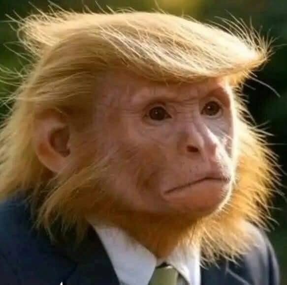 The Orange Ape has a new idea, the problem with is AI branding. Should we start calling it tRump Intelligence? Would that make everything OK?