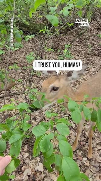 Are you a believer of normally skittish animals trusting you enough to pet them or get close to you means youre super special?