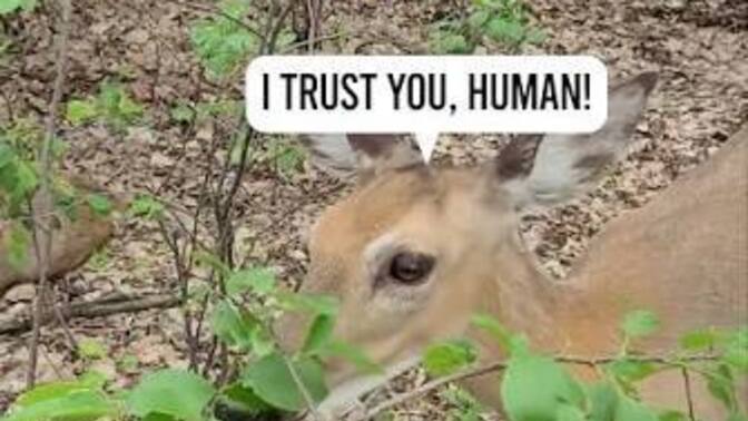 Are you a believer of normally skittish animals trusting you enough to pet them or get close to you means you're super special?