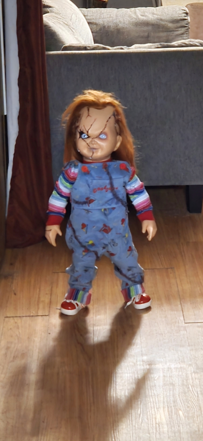 What do you think of my new Chucky doll purchase?