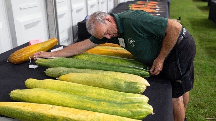 Have you ever grown a giant vegetable?