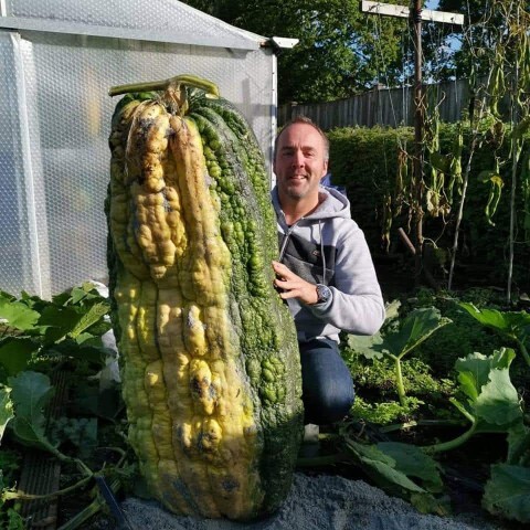 Have you ever grown a giant vegetable?