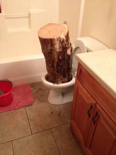 If you saw a grown woman walking around holding a little log like an infant what would you think?