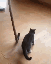 Can you do rope skipping, and if you can, how many skips do you think you can do without stopping, messing up, or getting tangled in the rope 😄?