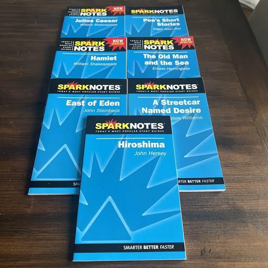Did you use Spark Notes or Cliff Notes in school?