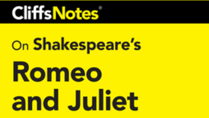 Did you use Spark Notes or Cliff Notes in school?