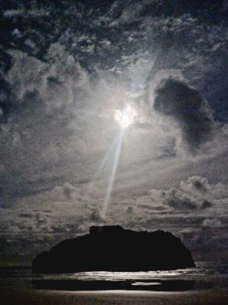 Its a harvest moon tonight, so whats the last thing you harvested?