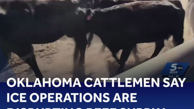 Well, I guess it helps that Trump's making sure we can get our beef from Argentina, right?
