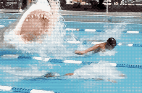 I cant believe I found another picture or GIF for this...