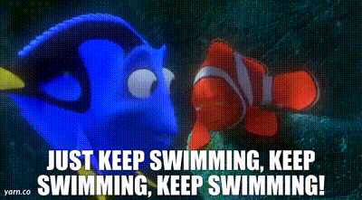 What would you do if a shark jumped up and attacked you in a swimming pool?