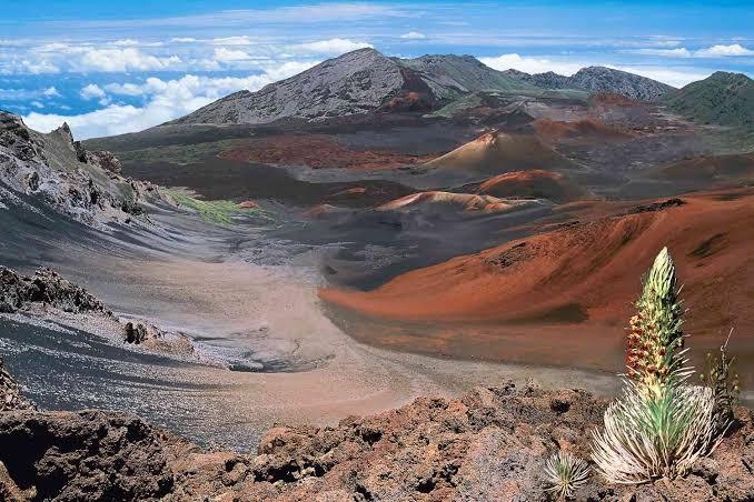 Whats your favorite Hawaiian island?