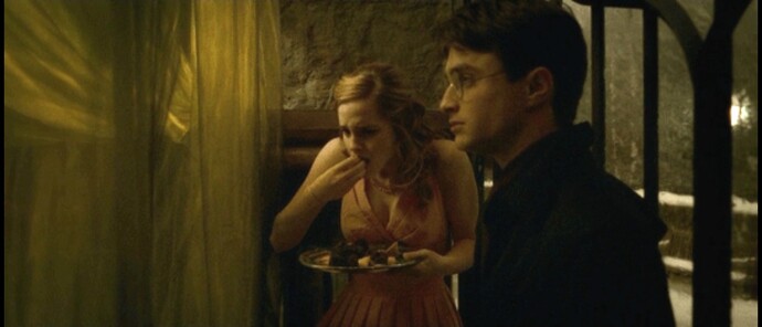 If someone offer you dragon tartare from Harry Potter, would you eat it?