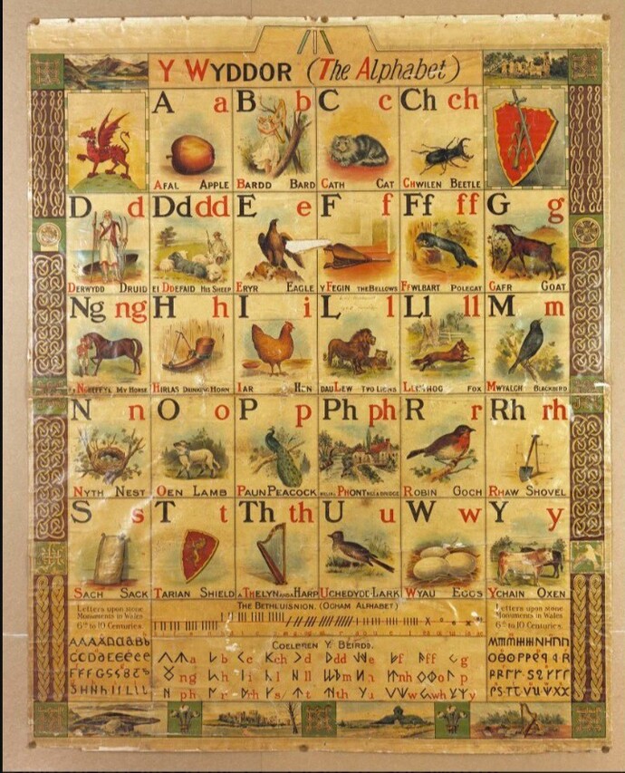 What’s your favorite letter of the alphabet, and why do you like it?