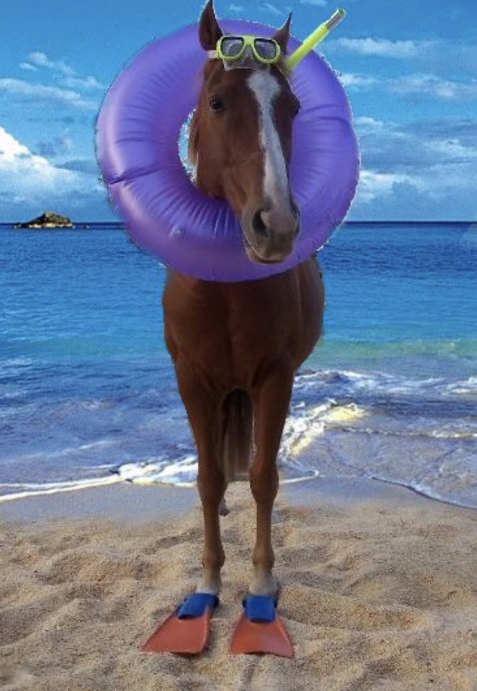 Here’s a KEYHORSE HorseKEY.