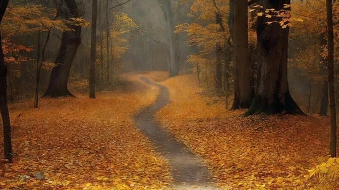 What are your favorite autumn activities to enjoy?
