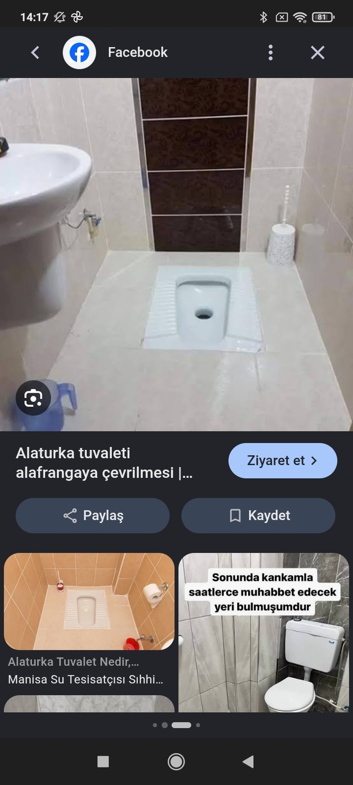 Why are squat toilets less common worldwide despite perceived hygiene benefits?