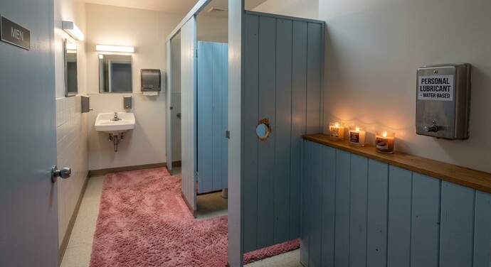 Have you ever seen inside the other sexs toilet?