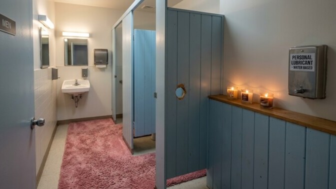 Have you ever seen inside the other sex's toilet?