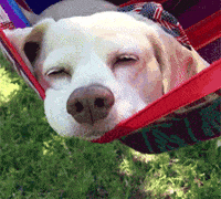 Are you feeling sad or happy right now?
