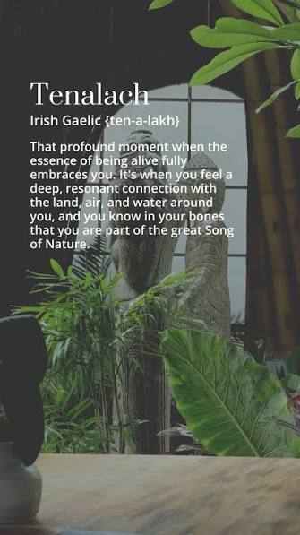 Do you grow your own fruit & vegetables? Have you noticed that Store bought doesnt taste as good & is basically tasteless?