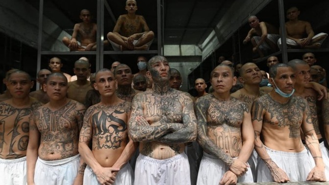 Rashida Tlaib and other Democrats have advocated for abolishing prisons. Do you think this is a good idea?