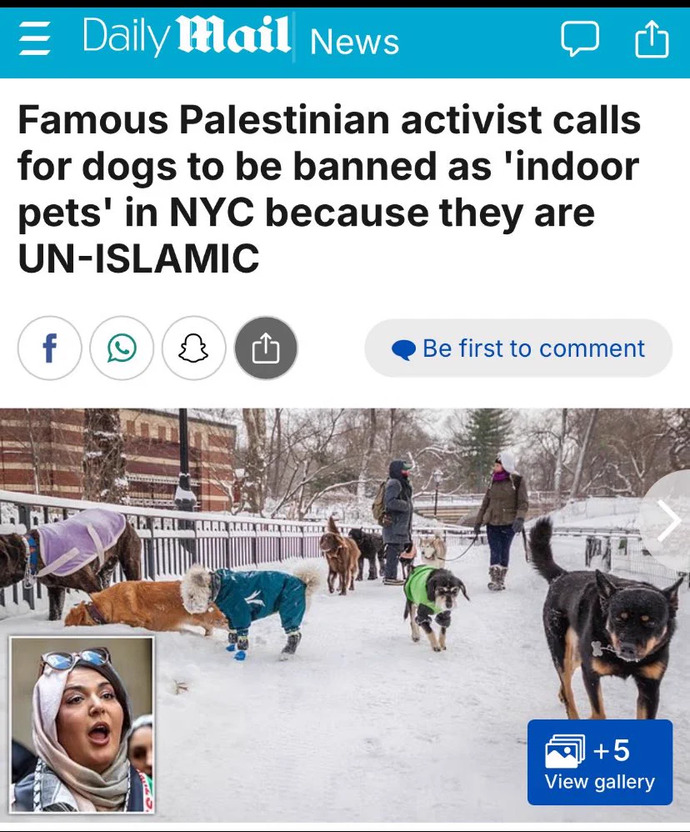 Can Dogs really sense Evil in people & should they be banned as pets?